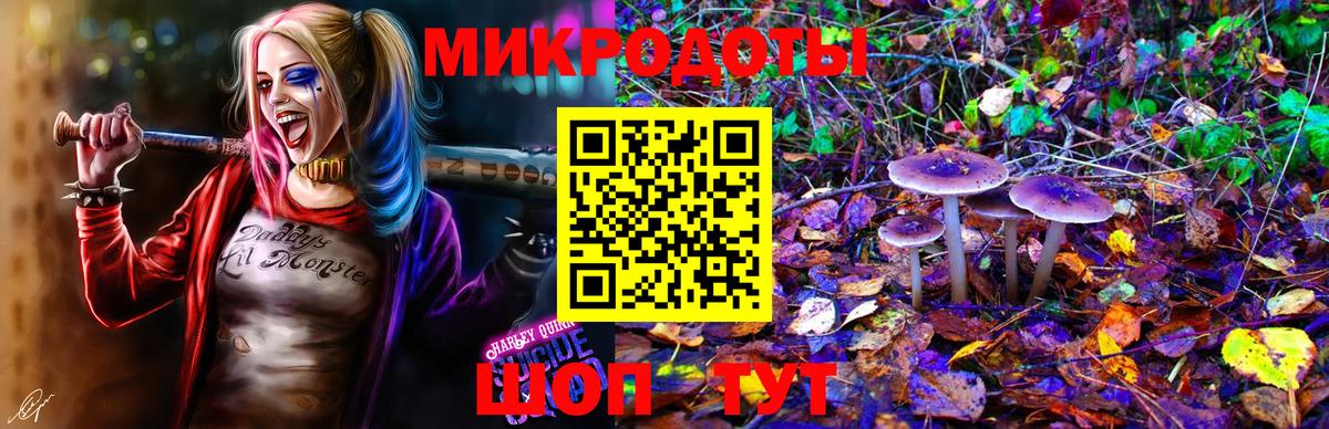 Биробиджан  Псилоцибиновые грибы мухоморы  Вход с VPN  Псилоцибиновые грибы GOLDEN TEACHER 