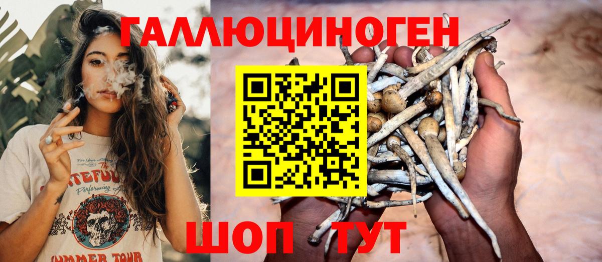 Псилоцибиновые грибы Cubensis Биробиджан